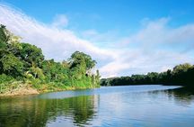 Manu jungle tours from Cusco (2 days).