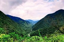 Manu jungle tours from Cusco (2 days).