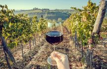 Rome Countryside Wine Tasting Tour with Private Driver and Guide