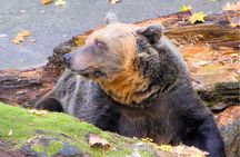 5h All-in SUMMER Tour River Cruise, Castle, Lunch & Treats