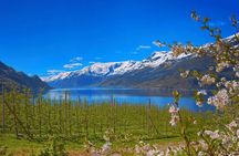 Guided tour to Hardangerfjord with Waterfalls and Ferry Crossing