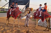 Premium Desert Safari Dubai Camel Riding with BBQ Buffet Dinner