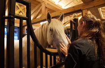 The Cradle of Lipizzaner horses - Half Day Trip from Ljubljana