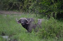 2-Day Nyerere Safari from Dar es Salaam