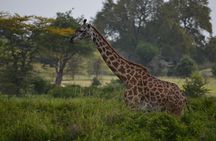 2-Day Nyerere Safari from Dar es Salaam