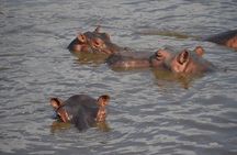 2-Day Nyerere Safari from Dar es Salaam
