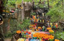 Marrakech : Ourika Valley & Anima Garden Full-Day Trip 