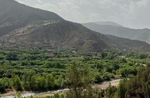 Marrakech : Ourika Valley & Anima Garden Full-Day Trip 