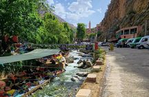 Marrakech : Ourika Valley & Anima Garden Full-Day Trip 