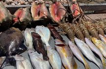 Turks And Caicos 4 Hours Fishing Experience