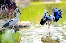 5 Days Private Bangladesh Tour Tea & Rainforest