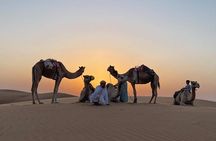 Shared Trip to Wahiba Sands & Wadi Bani Khalid Tour