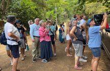 Puntarenas Eco Safari Adventure Tour