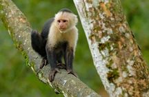 Puntarenas Eco Safari Adventure Tour