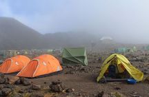 7 Days Lemosho Route Multiday Tour