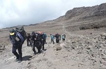 Lemosho Route Private 8 Day Kilimanjaro Minivan Tour