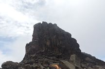 7 Days Lemosho Route Multiday Tour