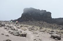 Lemosho Route Private 8 Day Kilimanjaro Minivan Tour