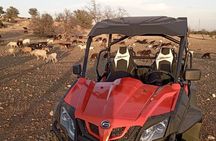  Agadir Buggy Adventure + Berber Tea Experience & Transfers