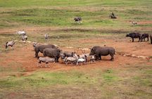 Nairobi Lake Nakuru National Park Full Day Tour