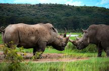 Nairobi Lake Nakuru National Park Full Day Tour