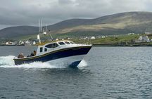 Unforgettable Skellig Michael Boat Tour