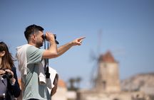 Birdwatching at Saline Maria Stella in Trapani