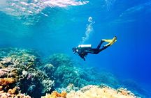 Diving Tour from Antalya or Kemer with Lunch