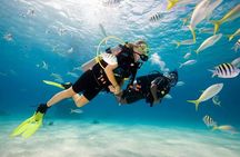 Diving Tour from Antalya or Kemer with Lunch