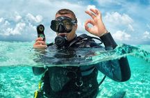 Diving Tour from Antalya or Kemer with Lunch