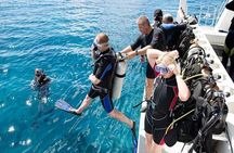 Diving Tour from Antalya or Kemer with Lunch