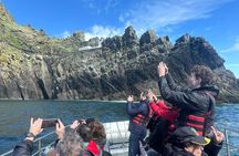 Unforgettable Skellig Michael Boat Tour