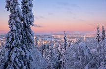 Levi Scenic Tour Reindeer Encounter and Snowshoe Adventure