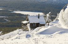 Levi Scenic Tour Reindeer Encounter and Snowshoe Adventure