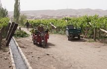 Turpan Historical 10 Highlights Private Adventure