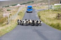 Galway to Killarney Scenic Transfer with Stops