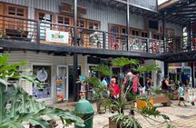 Private Island Tour Adventure with Sloths, Chocolate and Crafts