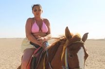 Horse Riding Adventure on the Sea and Desert in Hurghada