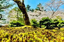 Kanazawa Full Day Private Tour to Top Highlights with Local Guide