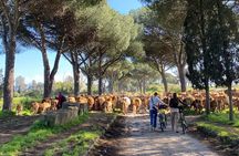Rome: Appian Way E-bike Tour, Catacombs, Aqueducts & Transfer
