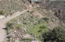 Mojarcar Jeep Safari & Spanish Tapas Adventure in Bedar Mountains