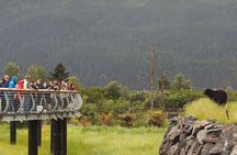 Private Scenic Turnagain Arm Glacier Tour from Anchorage