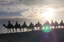 Marrakech: Agafay desert Adventure: Camel Ride, Dinner and Show 