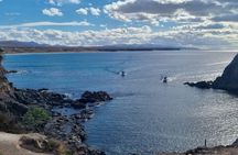 Fuerteventura North with Tapas 