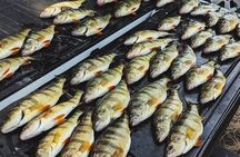 Guided Jumbo Perch Fishing Trip on Lake Cascade