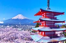 Mount Fuji Magnificent Day Tour from Tokyo