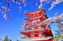 Mount Fuji Magnificent Day Tour from Tokyo