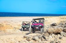 Action-Packed Half Day Aruba UTV Tour and Cave Pool