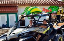Action-Packed Half Day Aruba UTV Tour and Cave Pool
