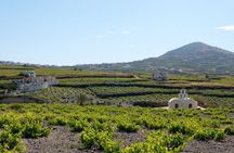 Discover Santorini-Private Guided Island Experience